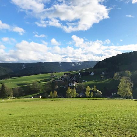 Ferienhaus Robin Titisee-Neustadt Zewnętrze zdjęcie