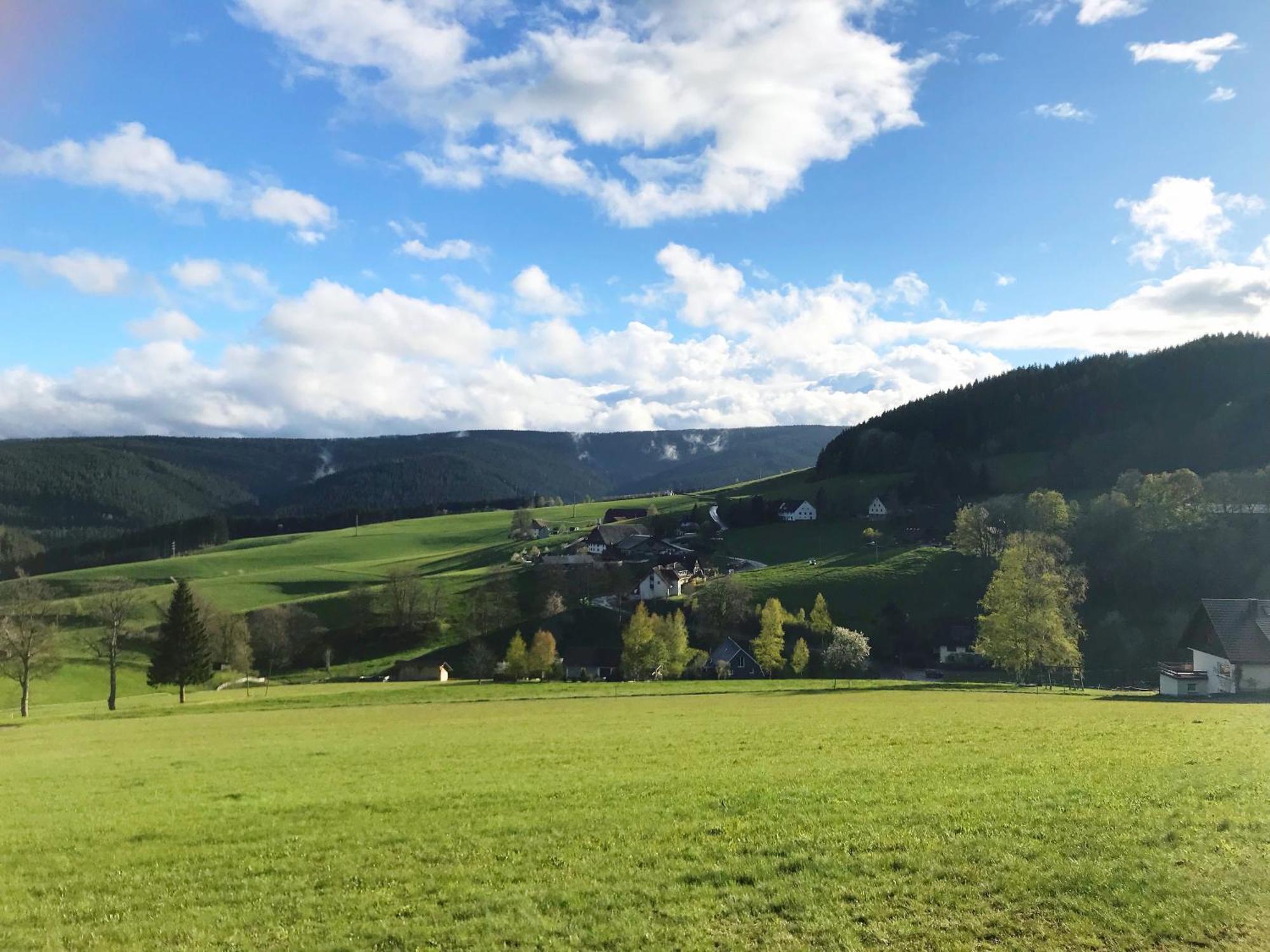 Ferienhaus Robin Titisee-Neustadt Zewnętrze zdjęcie