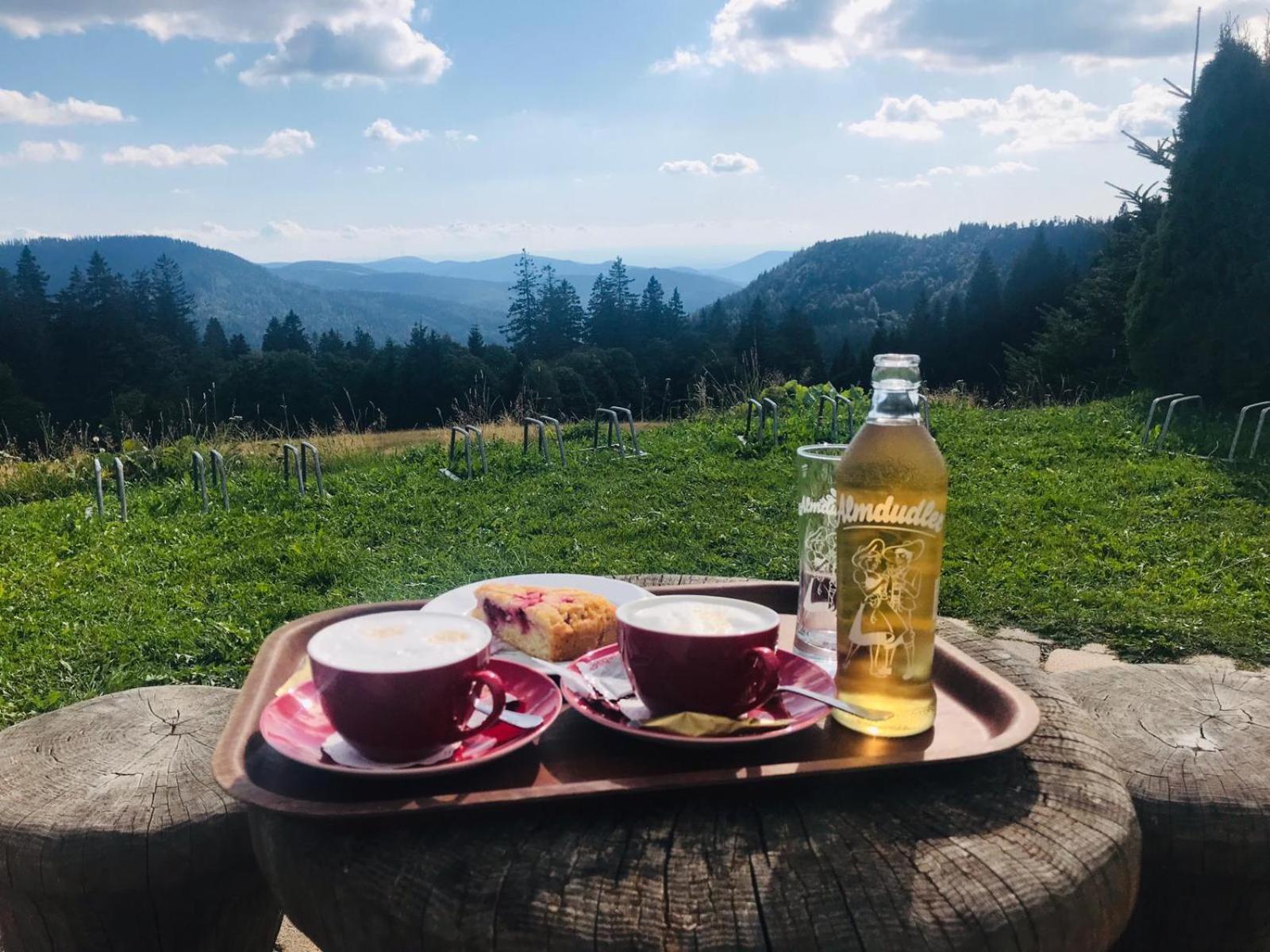 Ferienhaus Robin Titisee-Neustadt Zewnętrze zdjęcie