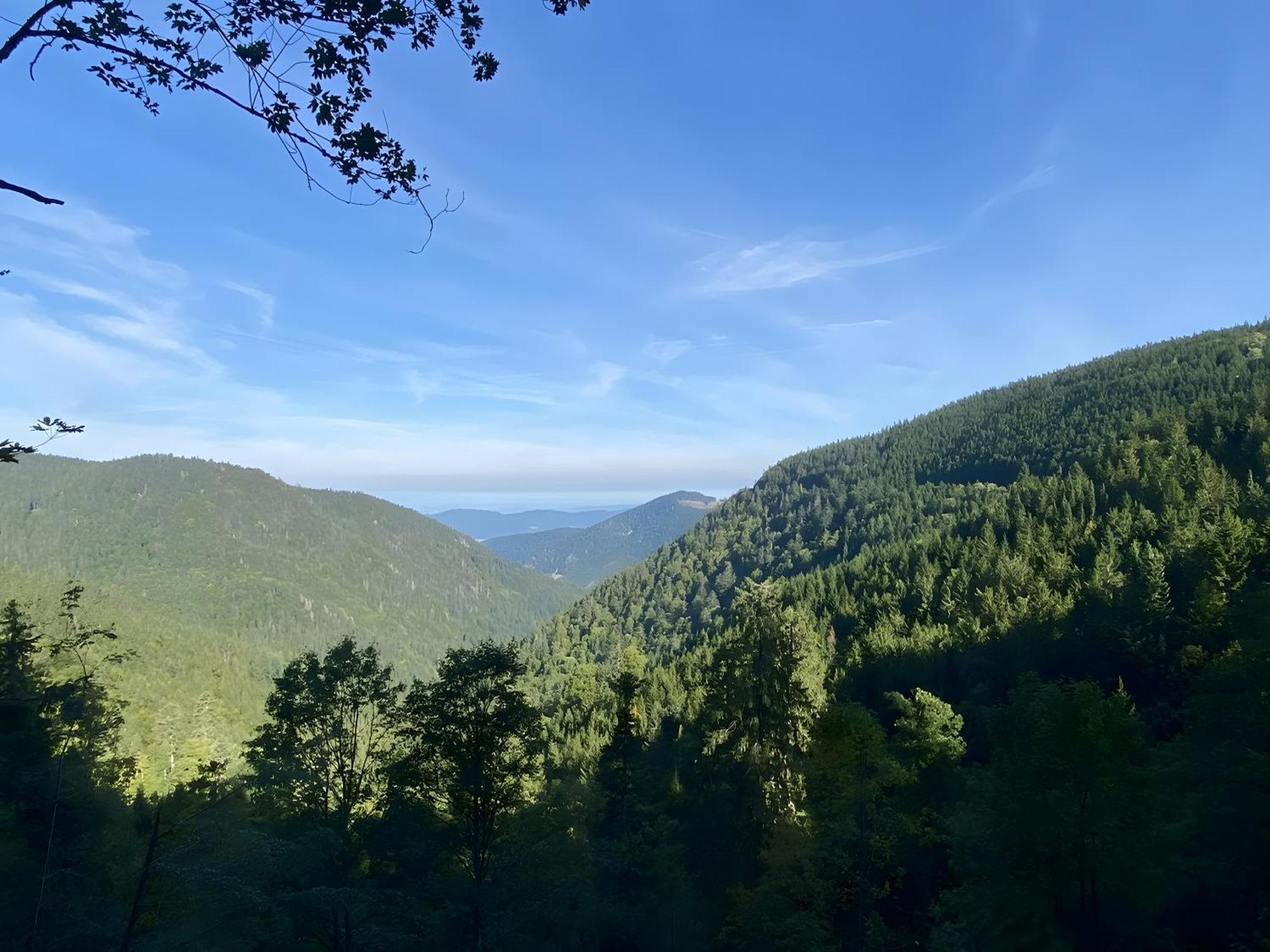 Ferienhaus Robin Titisee-Neustadt Zewnętrze zdjęcie