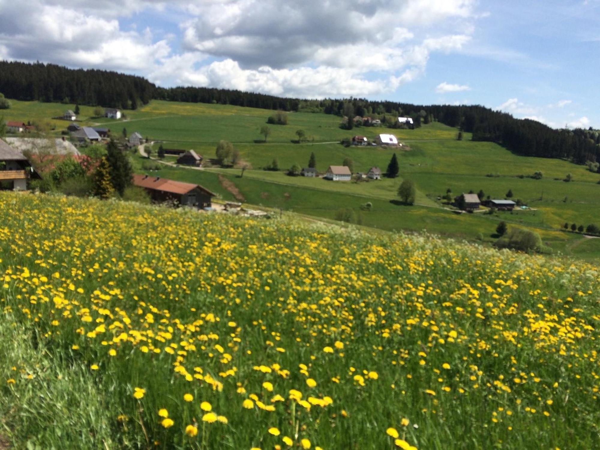 Ferienhaus Robin Titisee-Neustadt Zewnętrze zdjęcie